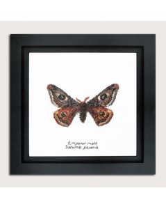 Counted cross stitch embroidery kit. Emperor moth. Thea Gouverneur. Item n° 562A