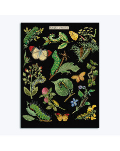 Chenilles, papillons, fleurs et plantes brodés sur toile Aïda 6,3 pts/cm. Kit de Thea Gouverneur G0587